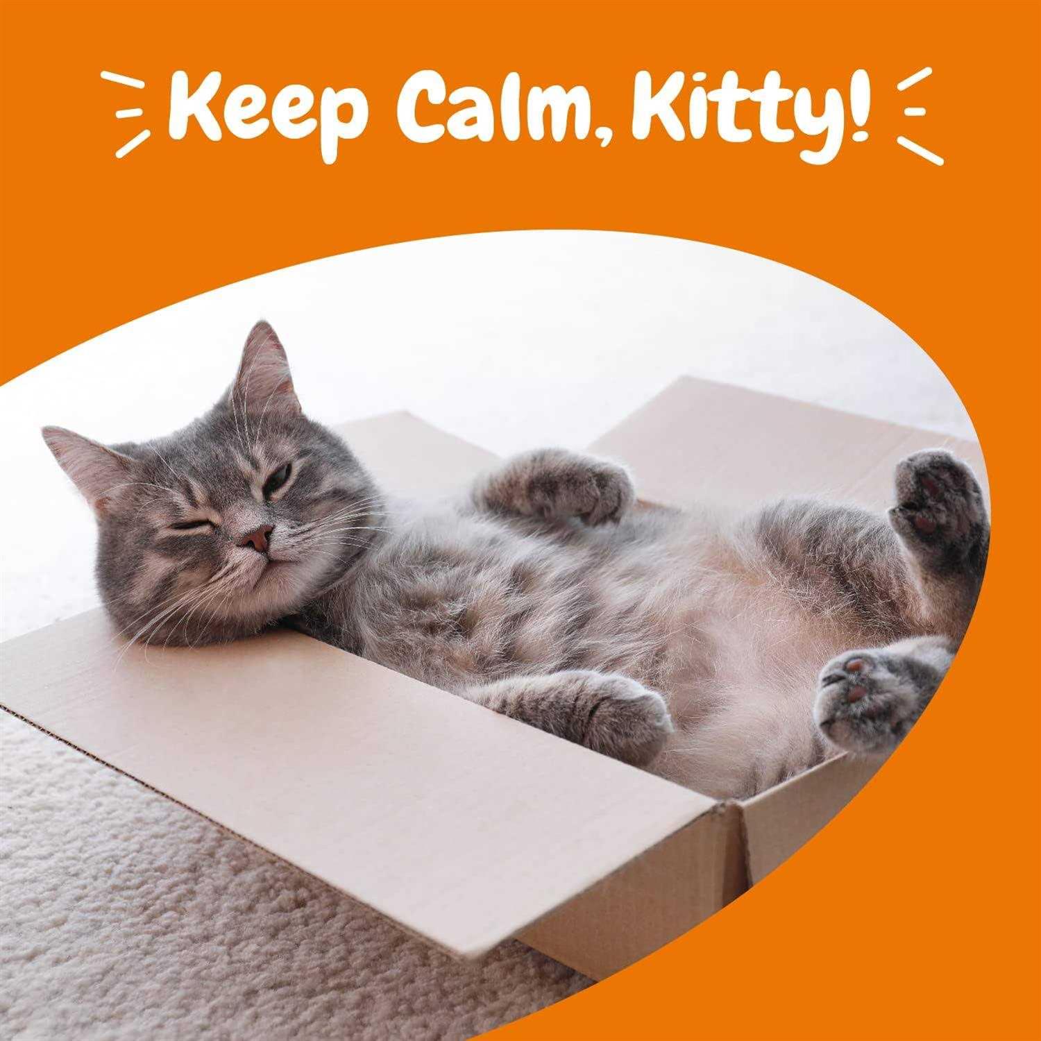 Zesty Paws Calming Bites for Cats