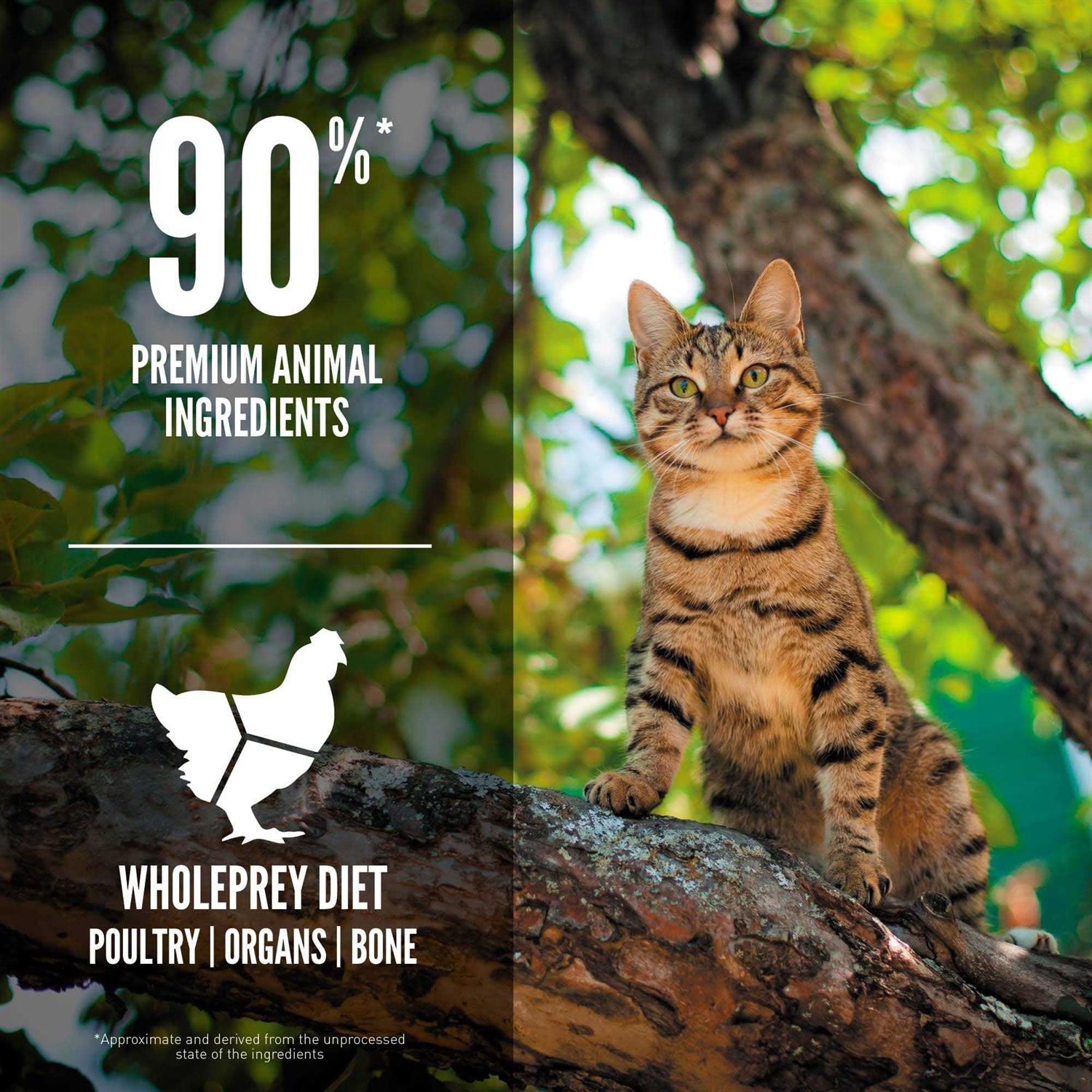 Orijen Guardian 8 Dry Cat Food