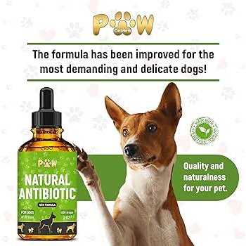 Golden Paw Natural Antibiotics for Dogs Dog Liquid Antibiotics Supports Dog Allergy Relief