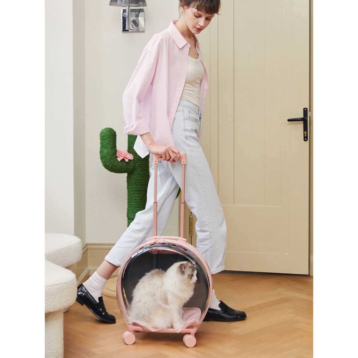 Vetreska Dog & Cat Carrier