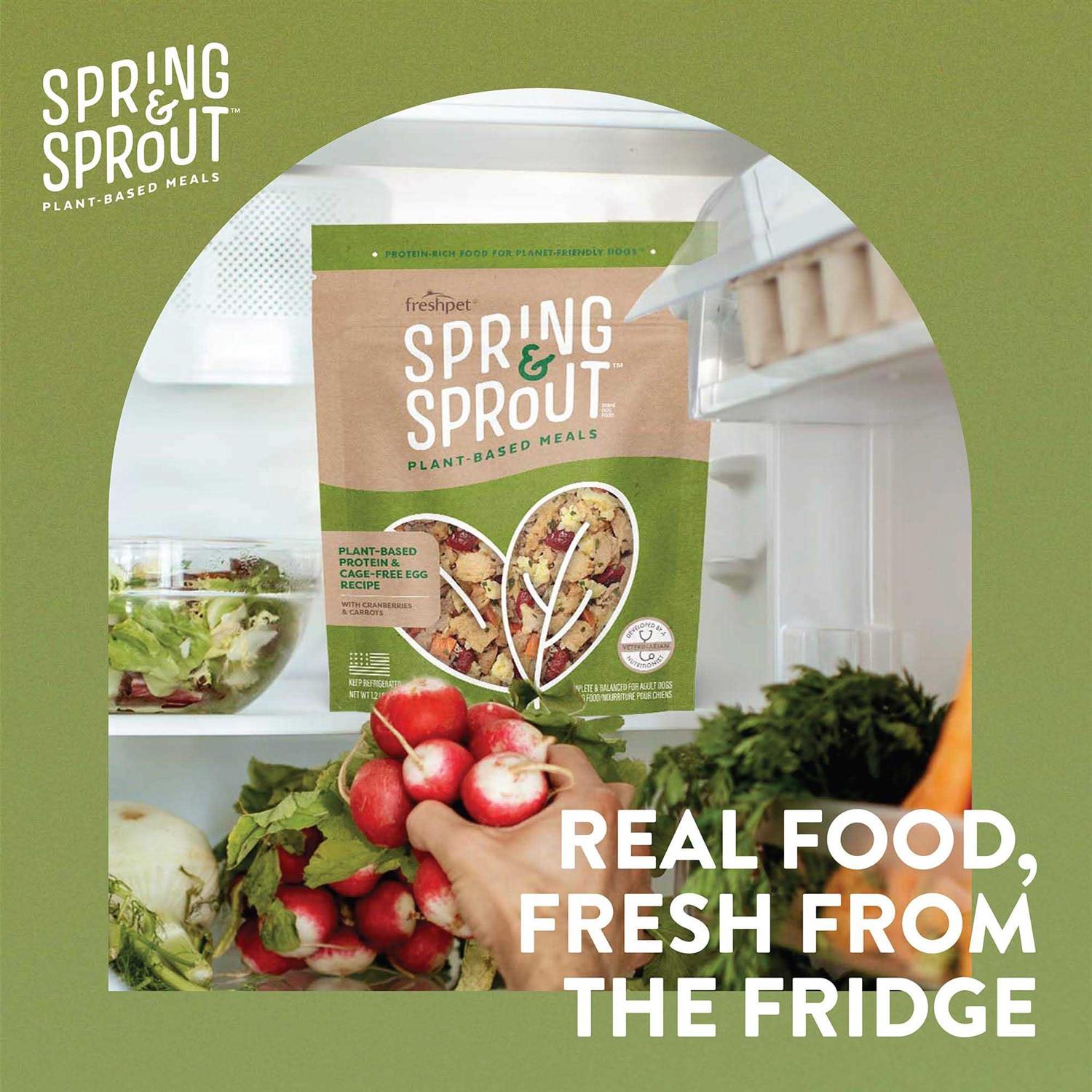 Freshpet Spring & Sprout Dog Food Plant-Based Protein & Cage-Free Egg Recipe