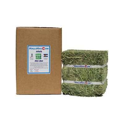 Hall’s Hay Alfalfa Mini-Bale Small Pet Food, 6-lb box
