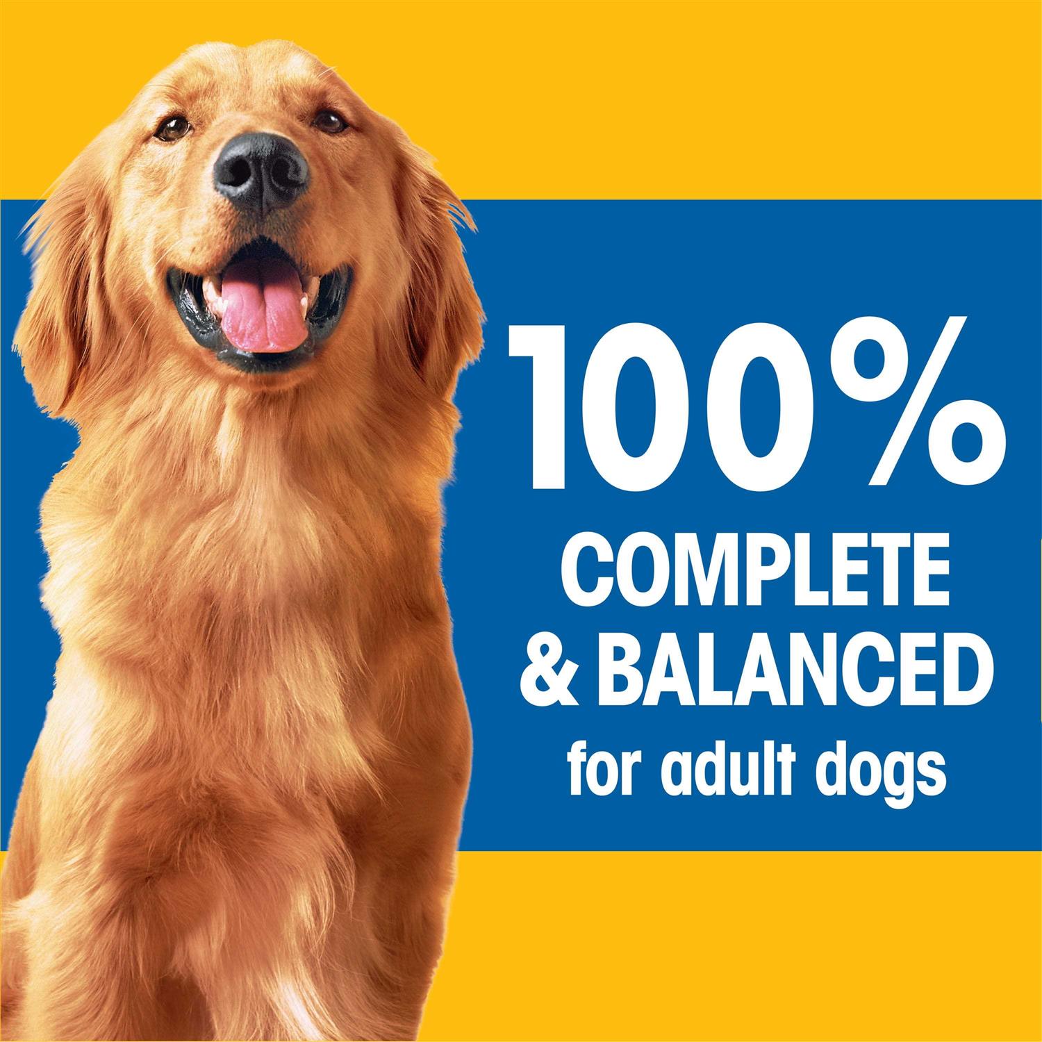 Pedigree Complete Nutrition Adult Dry Dog Food