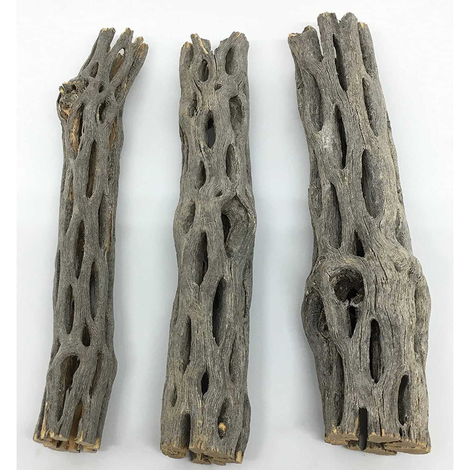 Awesome Aquatic Natural Cholla/Choya Wood 3 Pieces 6 for Shrimp Habitat and Food Treat Hermit Crabs Plecos Aquarium Decoration Lowers pH Hideouts and