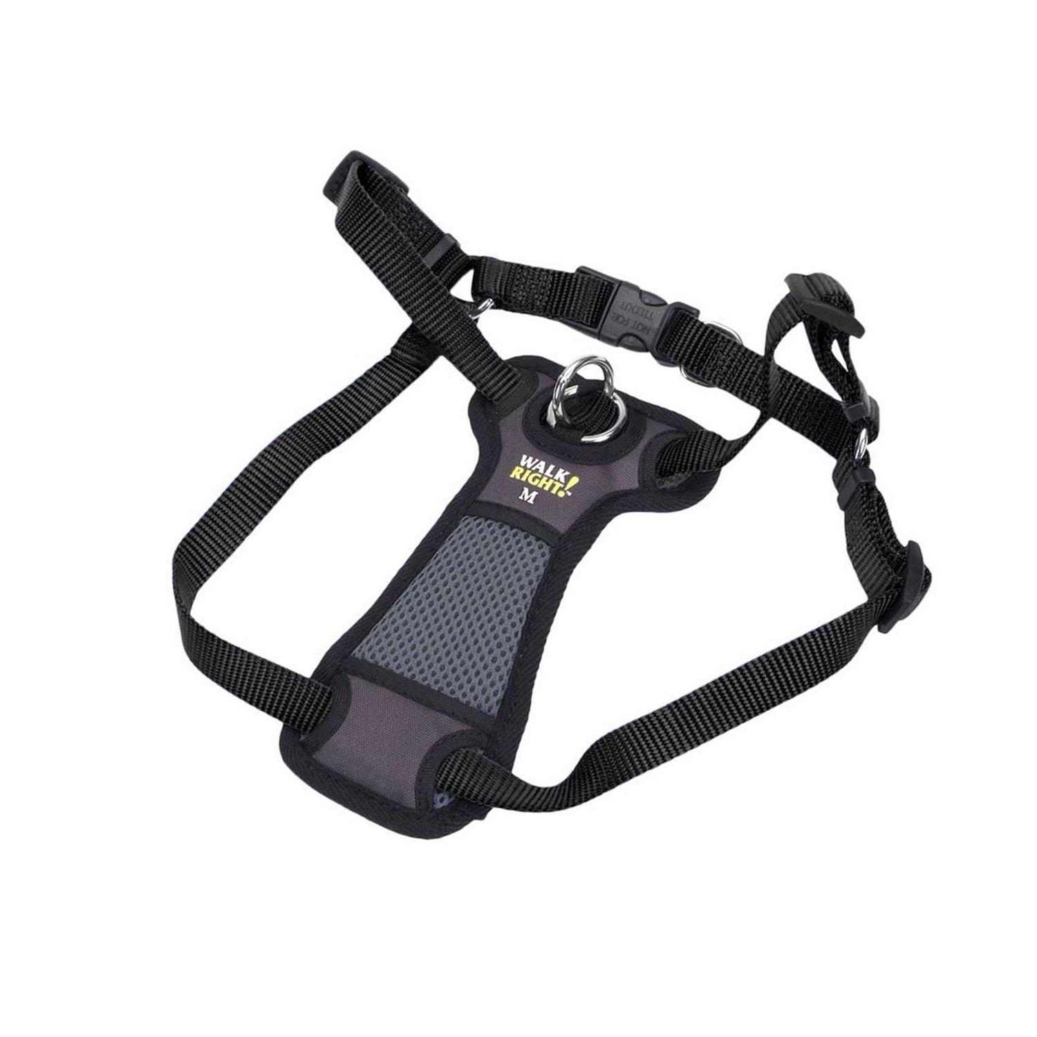 Coastal Pet Walk Right Padded Harness