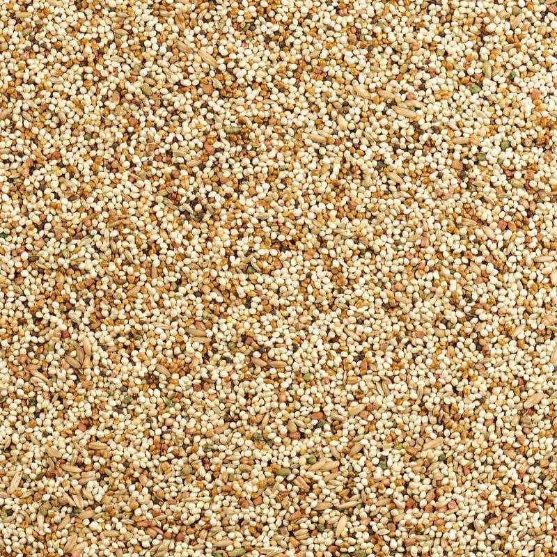 Wild Harvest Daily Blend Nutrition Diet for Parakeet, Canary and Finch 10 Pounds