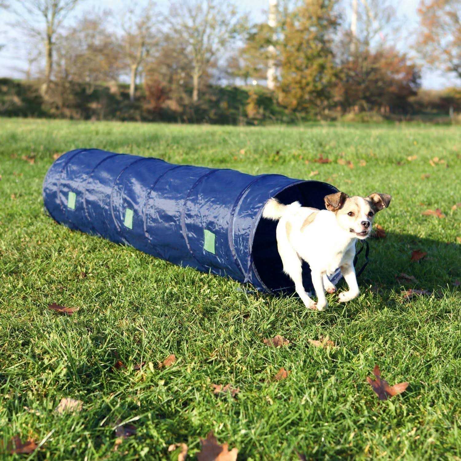 Trixie Agility Tunnel