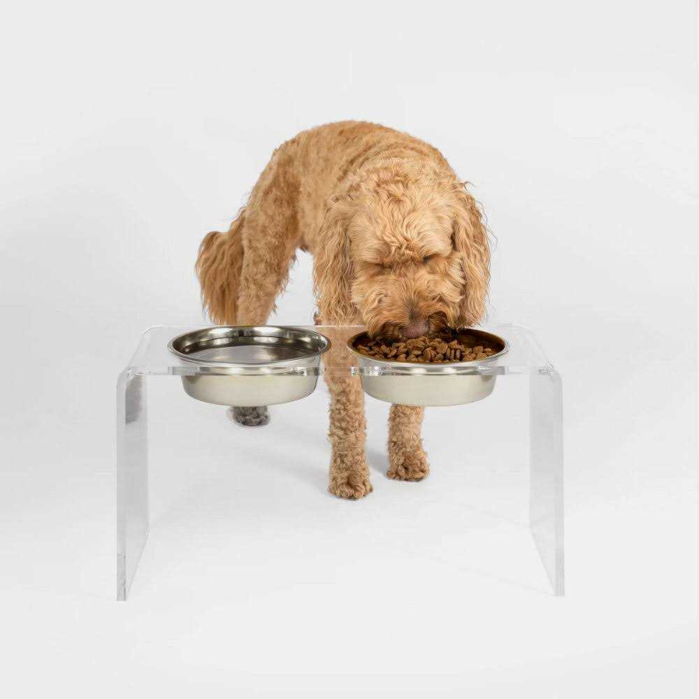 Hiddin Clear Double Bowl Pet Feeder