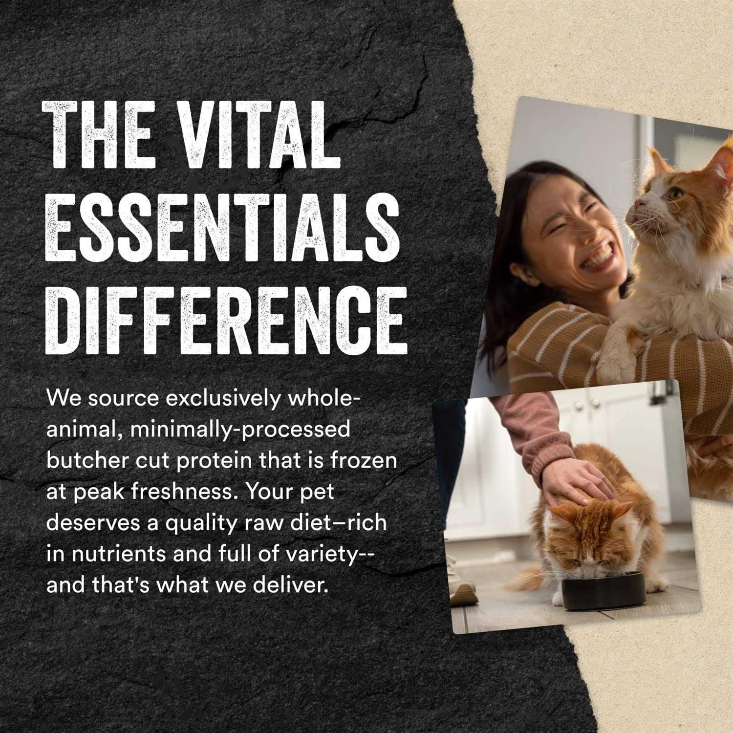 Vital Essentials Entree Mini Nibs Freeze-Dried Raw Cat Food