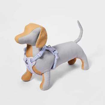 Boots & Barkley Basic Dog Collar