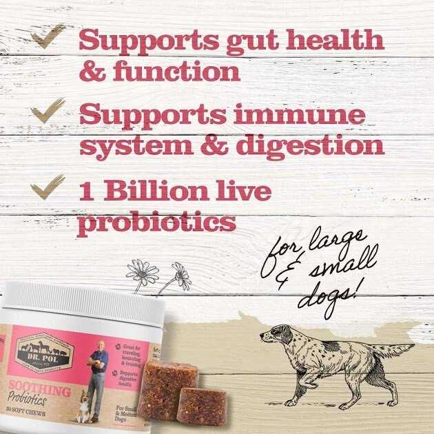 Dr. Pol Probiotic Chews for Dogs Small & Medium