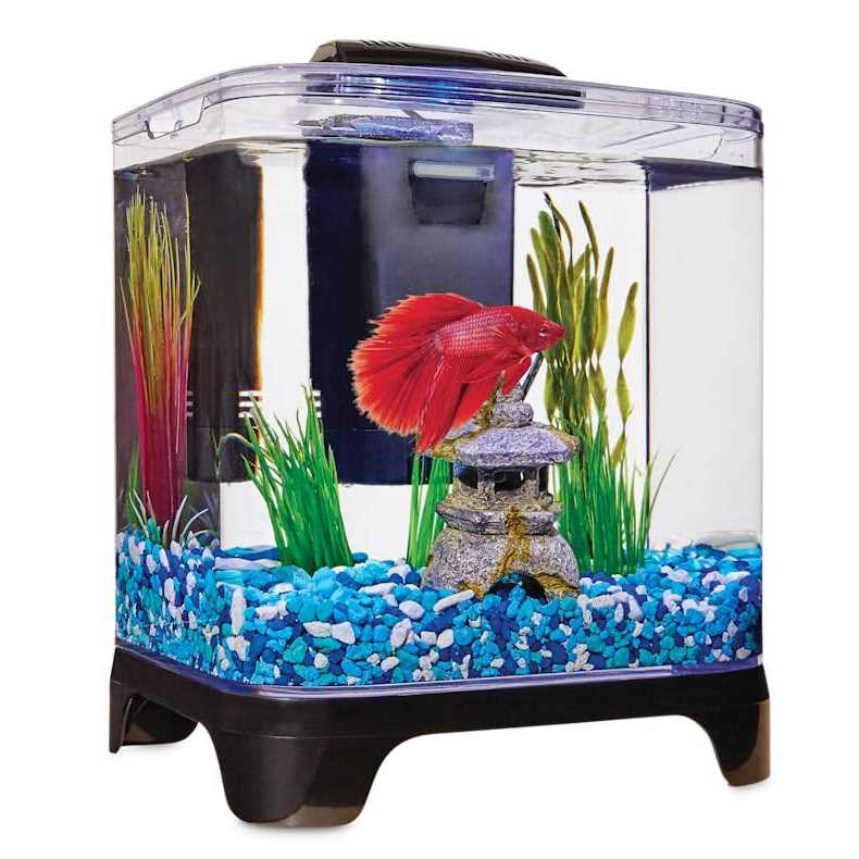 Imagitarium Betta Desktop Kit