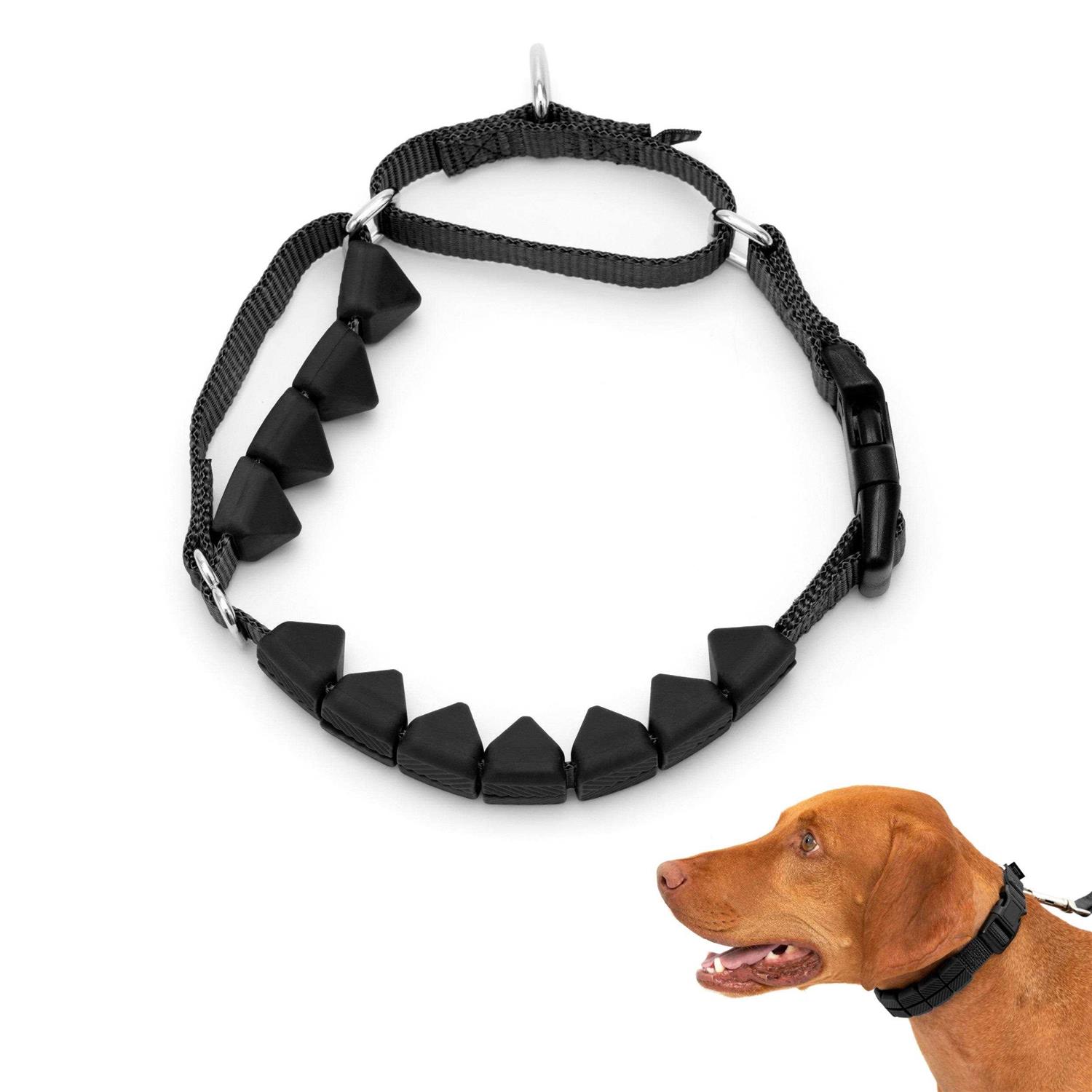 PetSafe Soft Point Training Collar