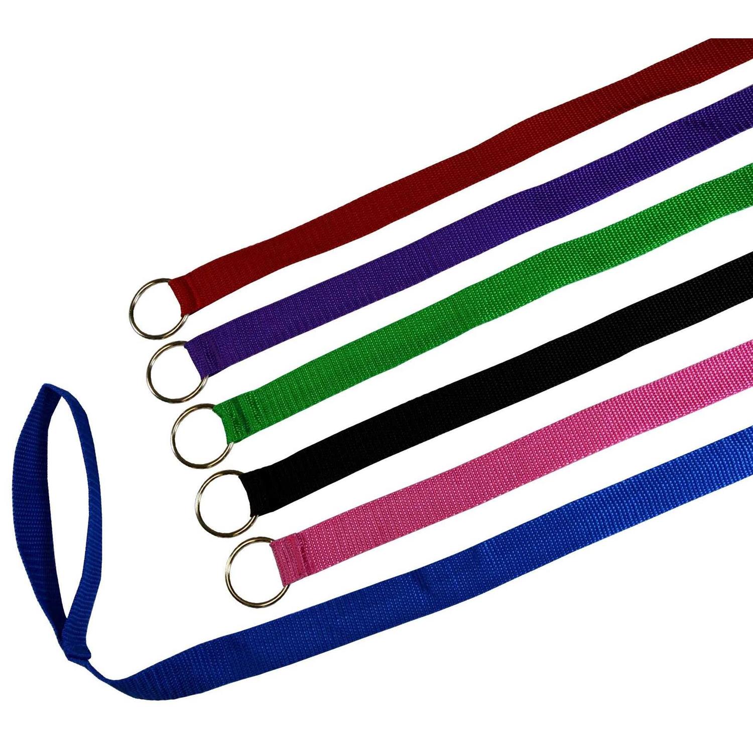 Downtown Pet Supply Dog Slip Lead Dog Leash