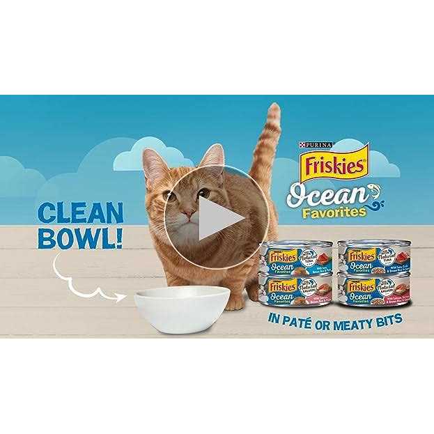 Purina Friskies Wet Cat Food Ocean Favorites