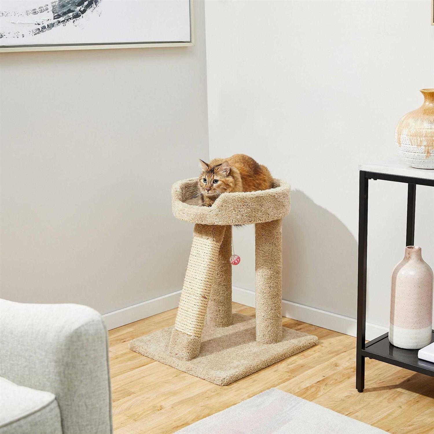 Frisco 24-in Real Carpet Cat Scratching Perch with Toy