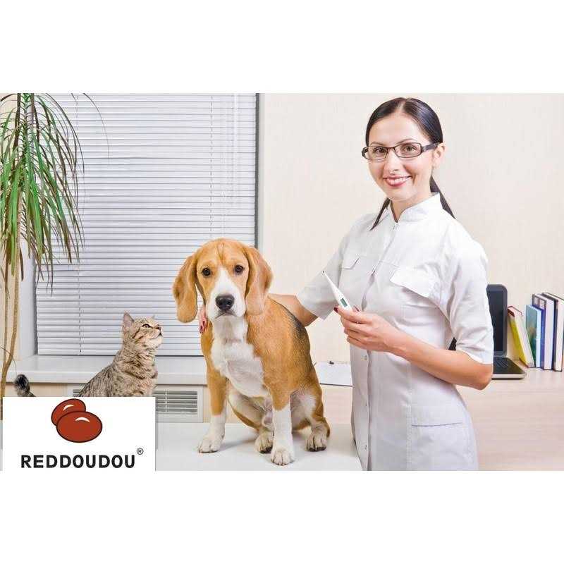Reddoudou Digital Pet Thermometer for Accurate Fever Detection, Suitable for Cats/Dogs/Horse/Veterinarian, Waterproof Pet Thermometer, Fast and