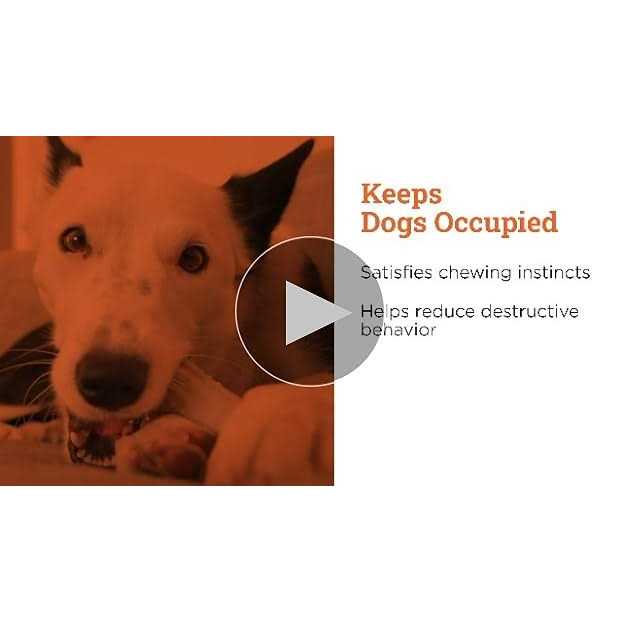 Petstages Deerhorn Chew Dog Toy