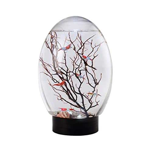 Mini Ecological Fish Tank, Closed Aquatic Ecosphere Desktop Aquarium with Led Base, Home Office Decor, No Need to Change Water (Color : Black)