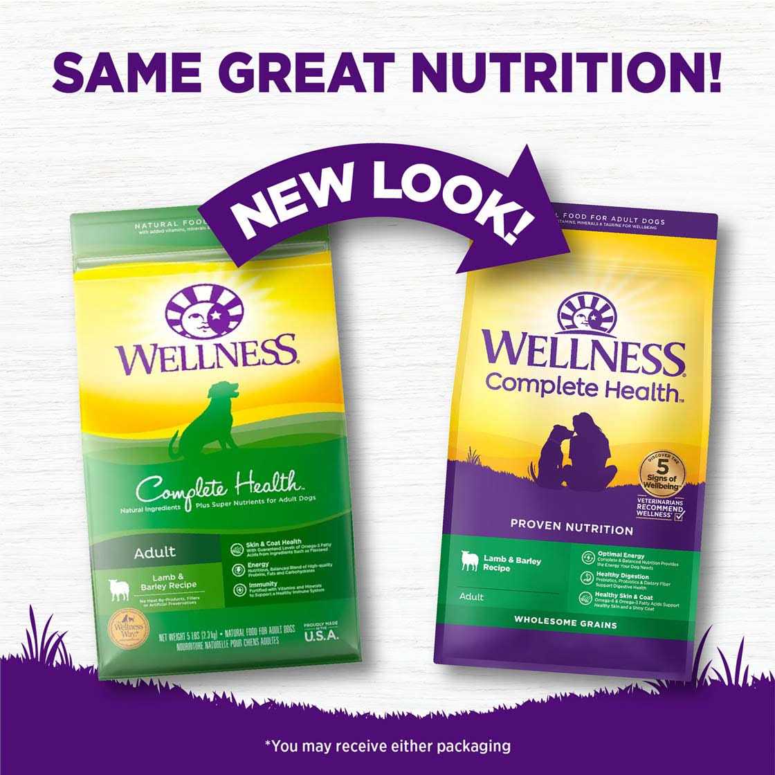 Wellness Complete Health Lamb & Barley Dry Dog Food