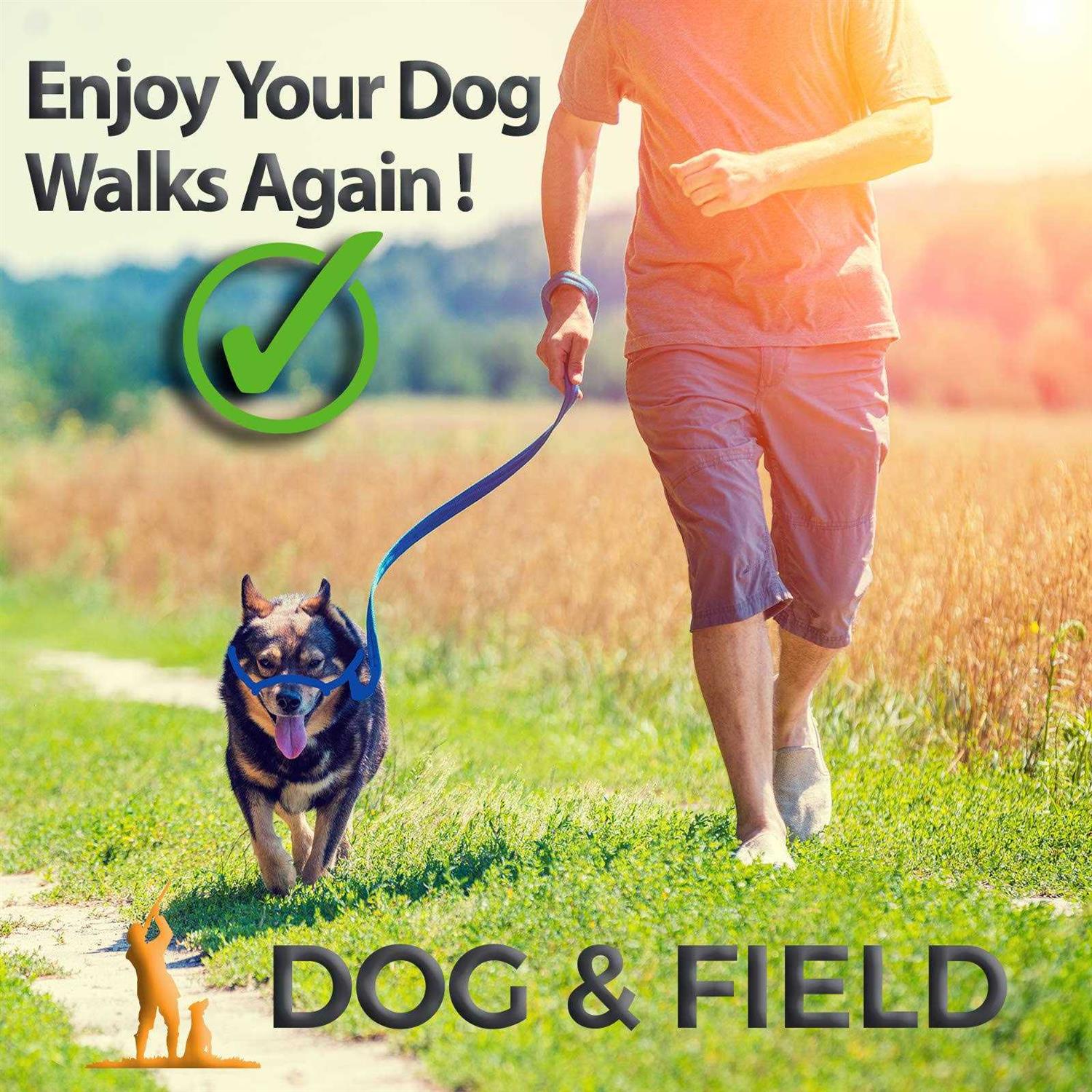 Dog & Field Figure 8 Anti Pull LeashHalterHead collar One Size Fits All