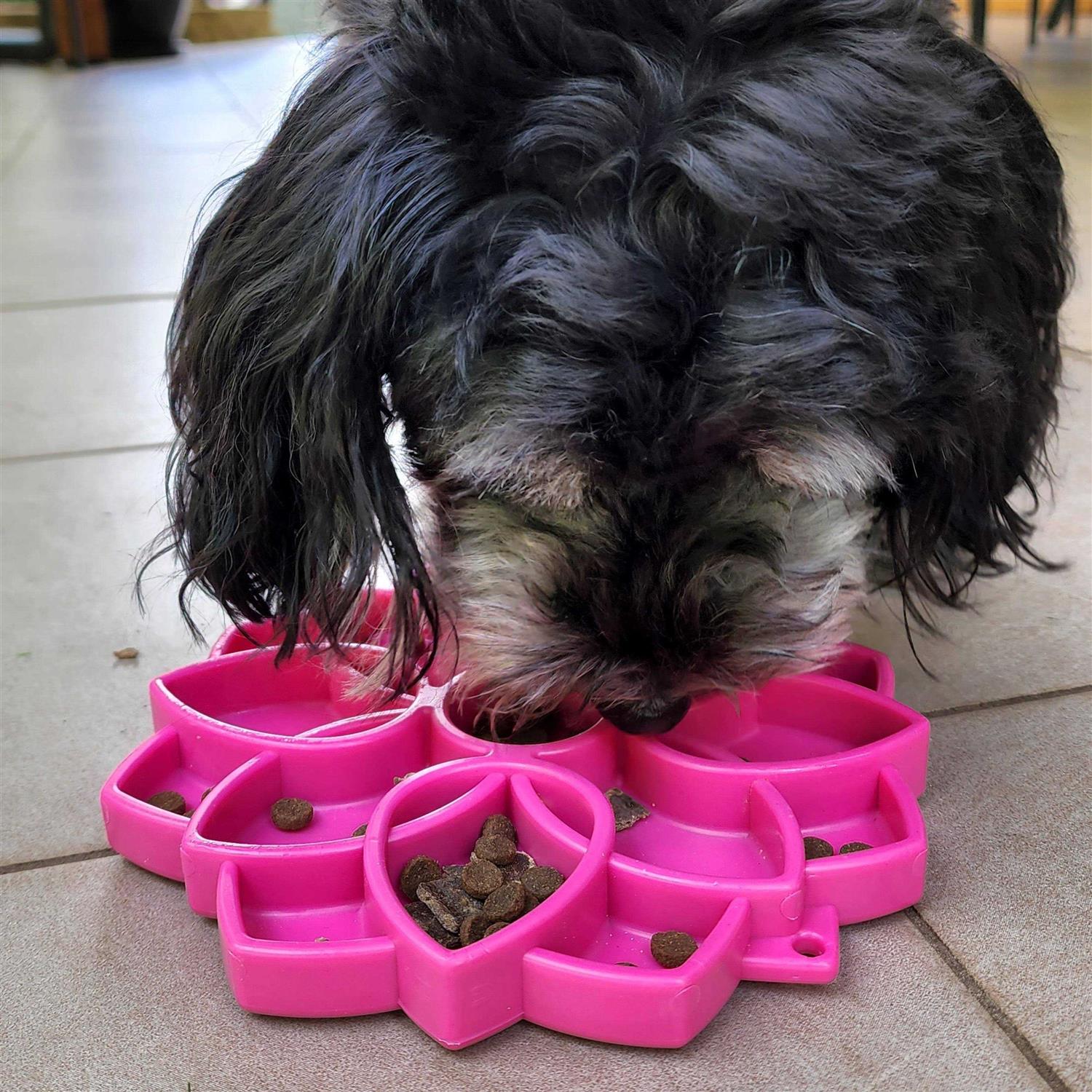 SodaPup Mandala Design eTray Enrichment Tray for Dogs