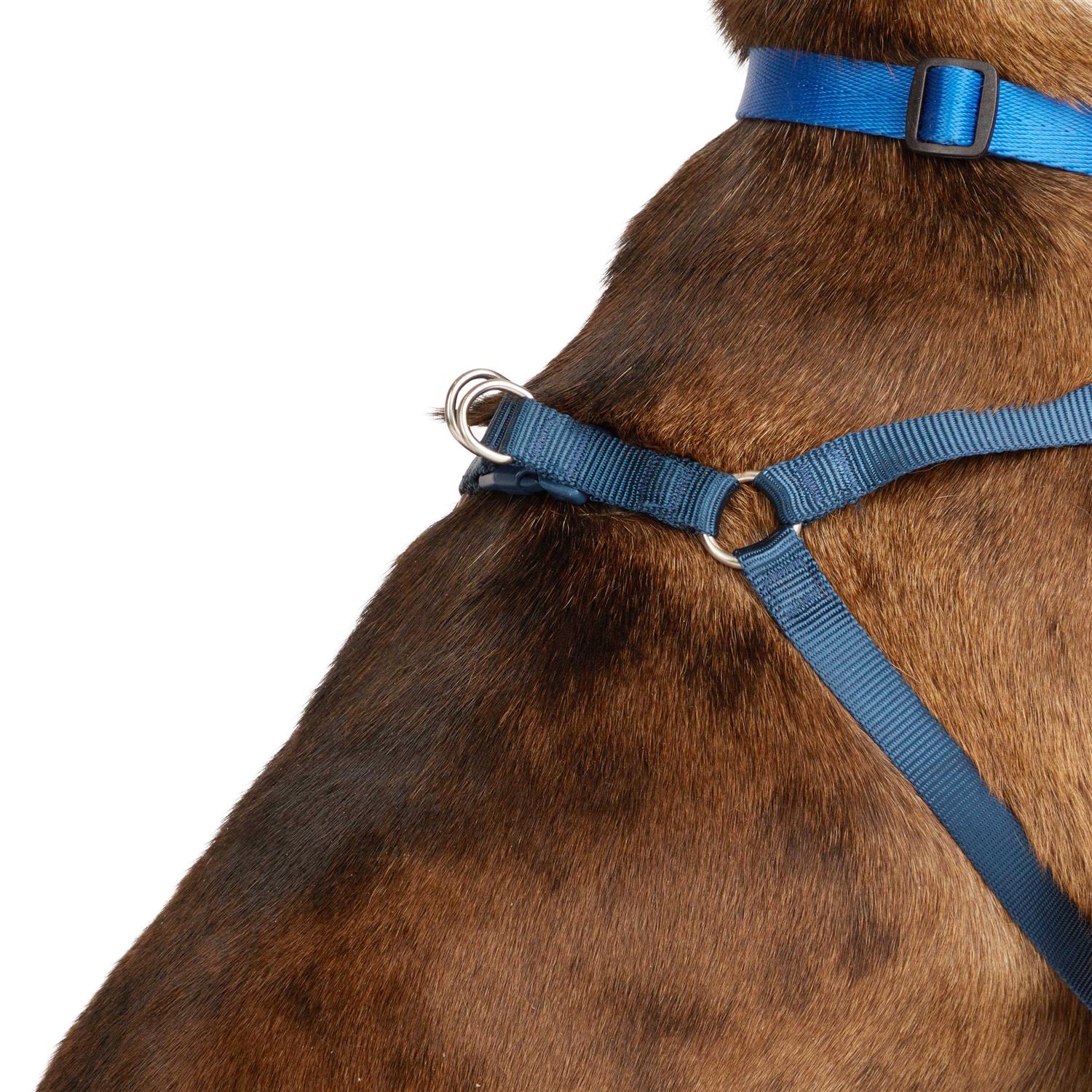 Youly the Champion Padded Step-in Dog Harness