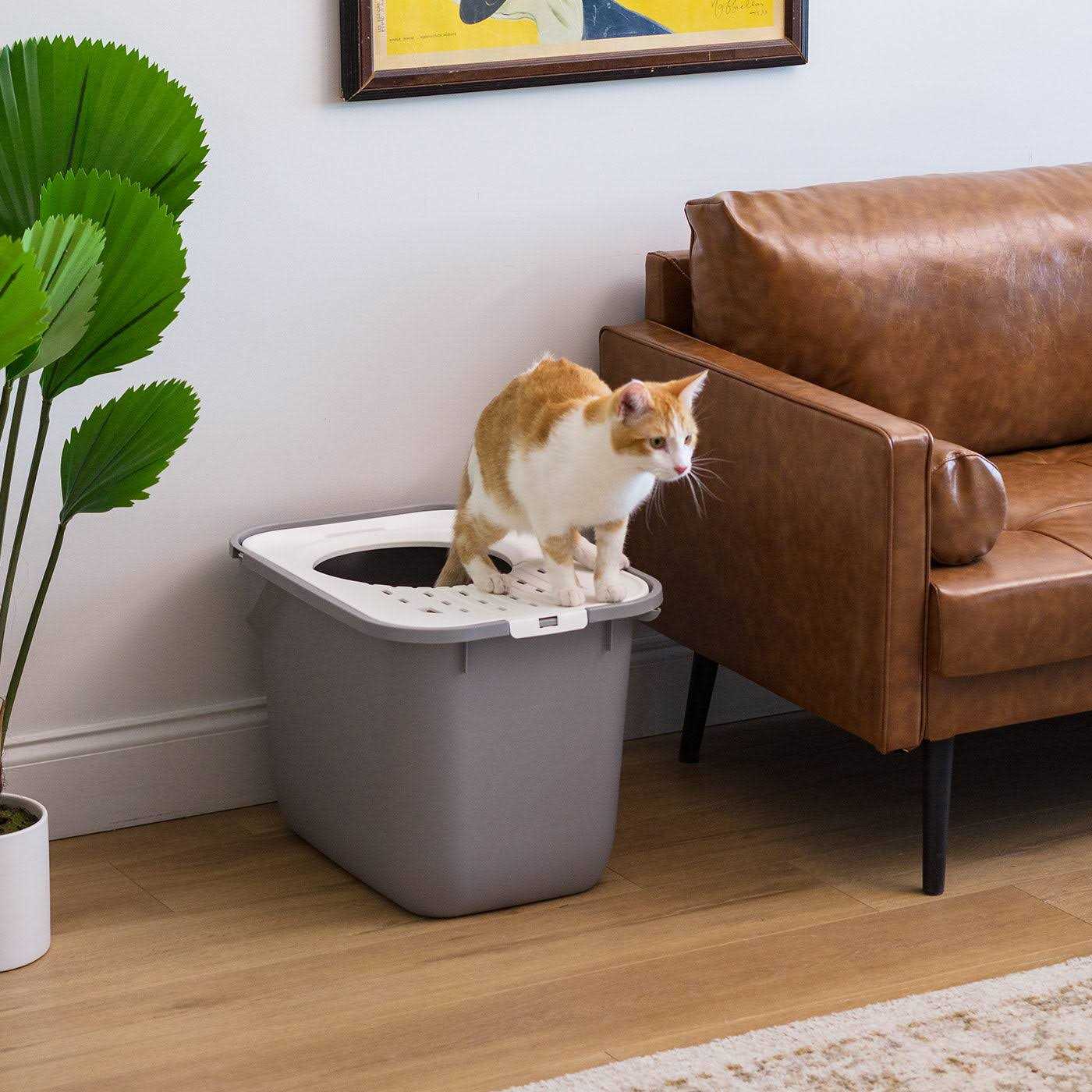 IRIS USA Top Entry Cat Litter Box