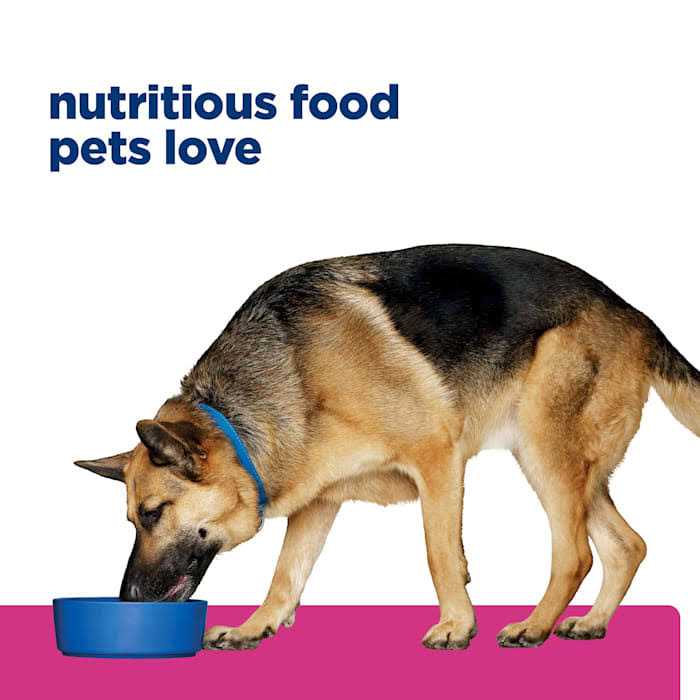 Hill&s Prescription Diet Gastrointestinal Biome Digestive Fiber Care Chicken Dry Dog Food