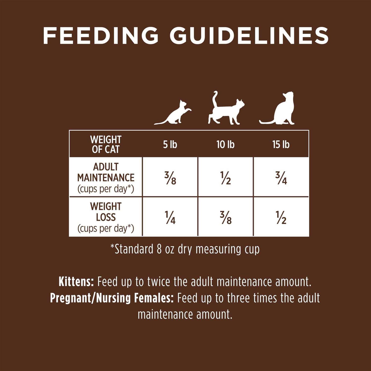 Instinct Original Grain Free Recipe with Real Salmon Natural Dry Cat Food