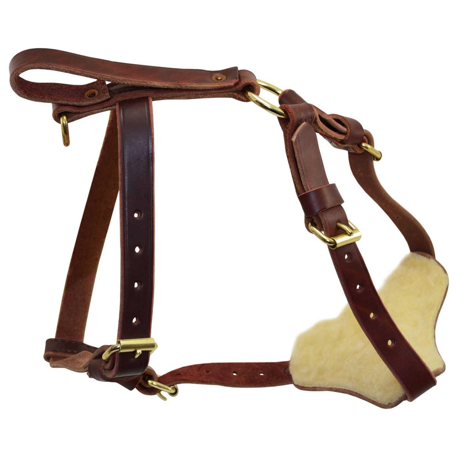 Signature k-9 Leather Tracking Harness