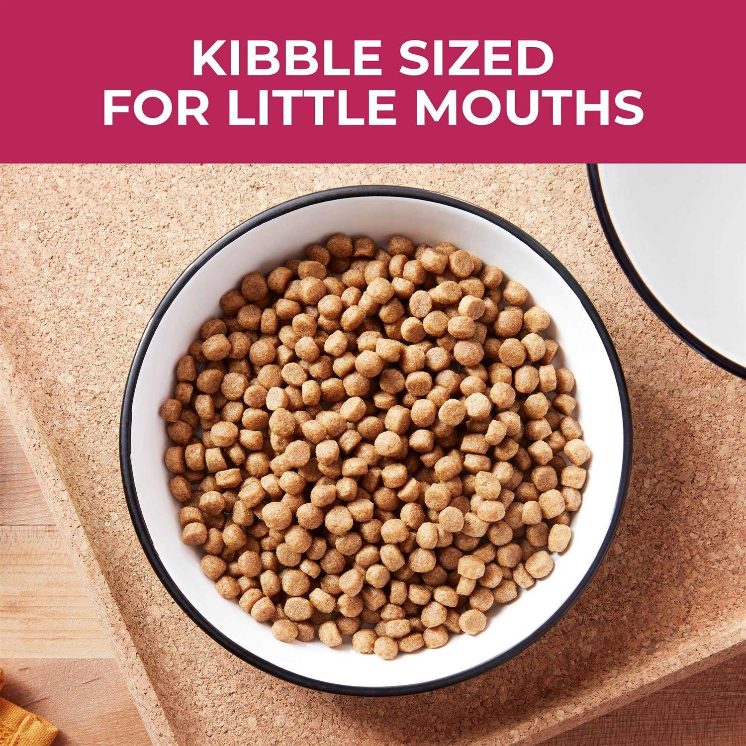 Nature’s Recipe Recipe Small Bites Dry Dog Food