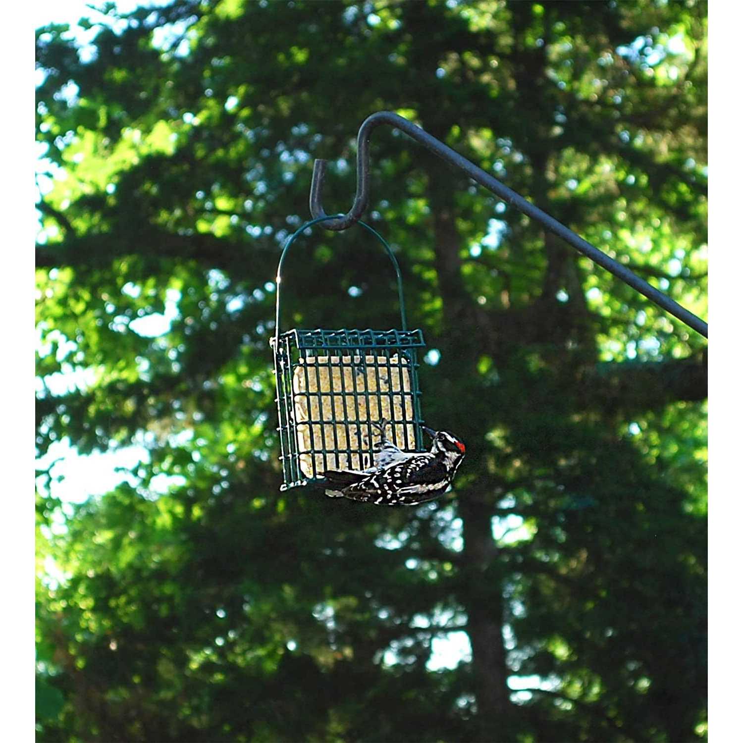 Suet Plus High Energy Wild Bird Suet