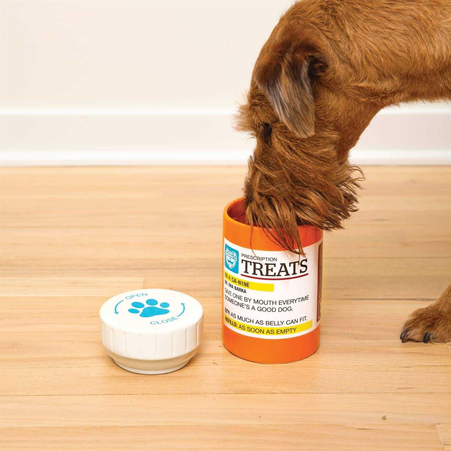 Bigmouth Inc Prescription Treat Jar