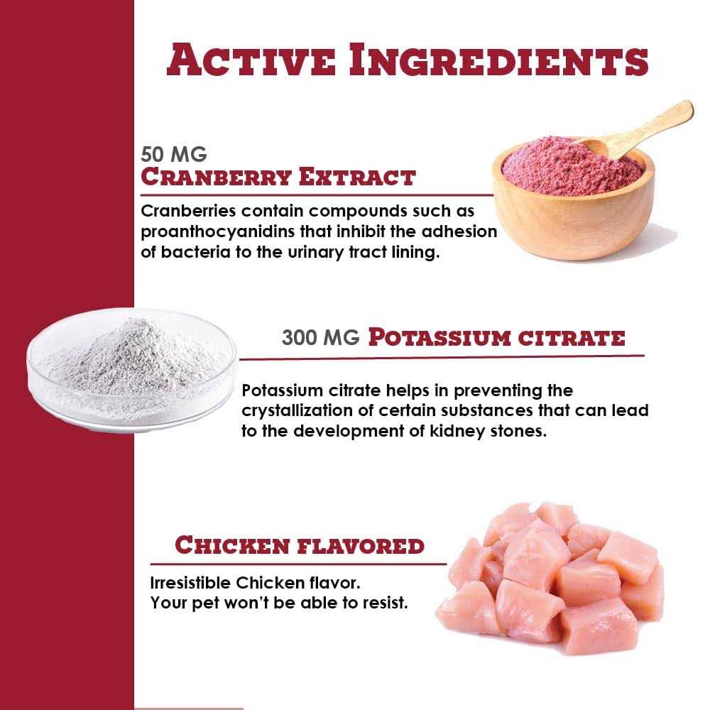 K-Plus Potassium Citrate Plus Cranberry Granules