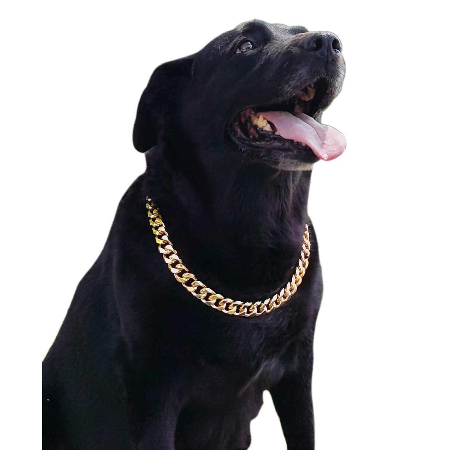 PP cOLOR gold chain Dog collar-34 Width cuban Link Dog Necklace