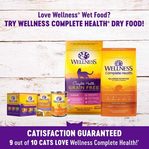 Wellness Healthy Indulgence Natural Grain Free Wet Cat Food Morsels Variety Pack