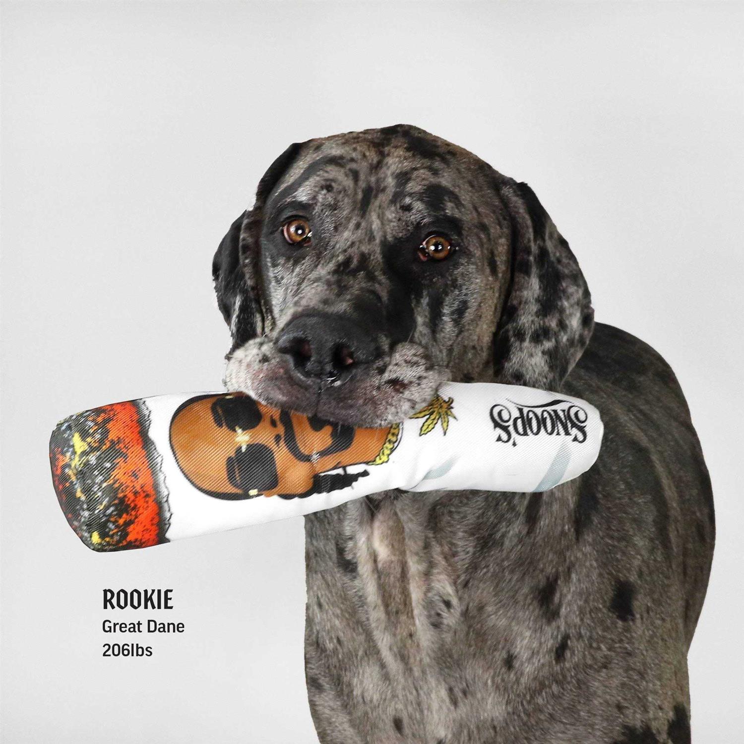 Snoop Doggie Doggs Doobie Dog Toy