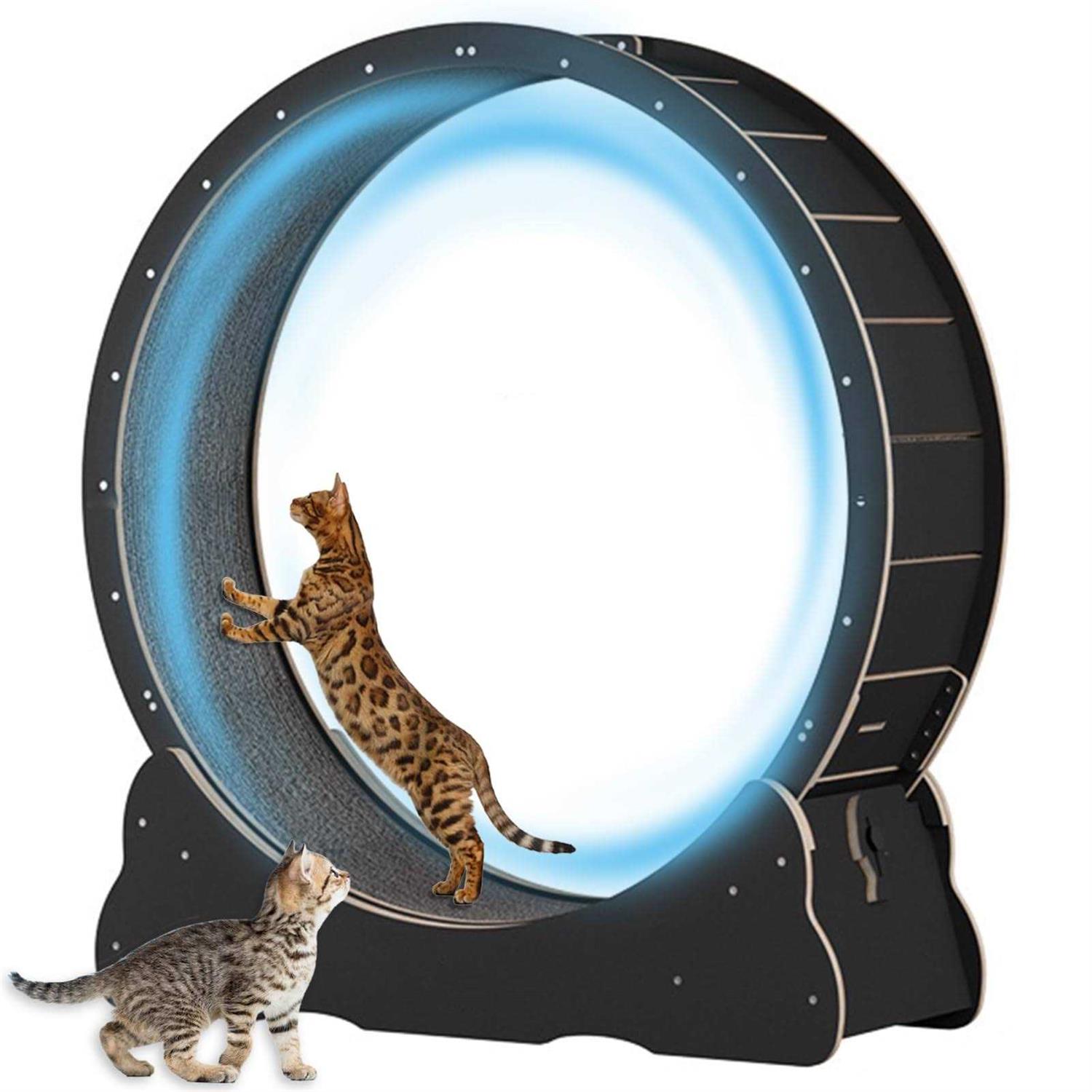 Large Cat Exercise Wheel 40 inch Solid Wood Cat Wheel Exerciser for Indoor Cats