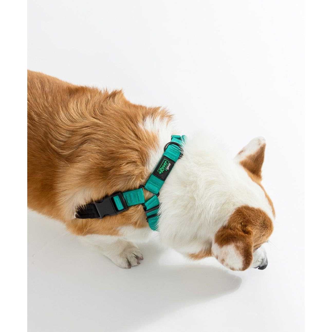 Rover Gear Better Walk No-Pull dog Harness