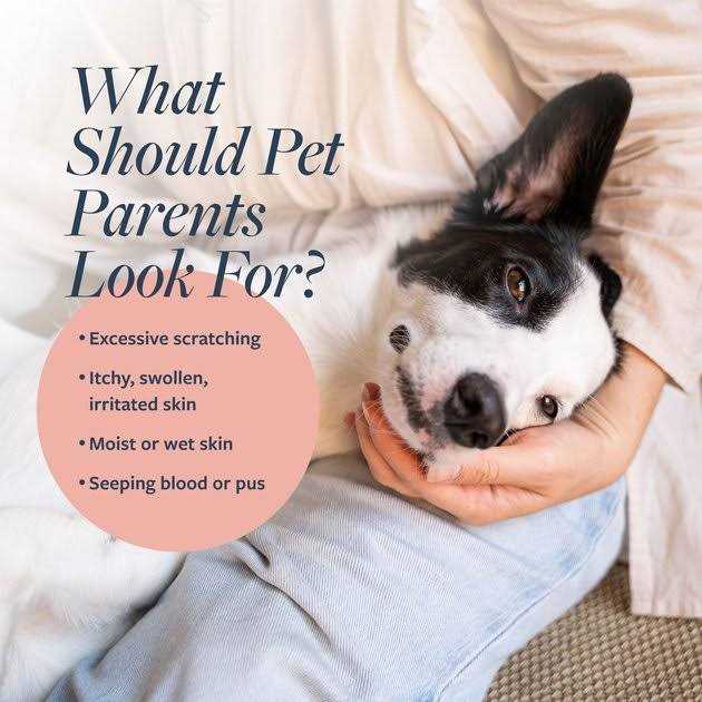 Veterinary Formula Clinical Care Hot Spot & Itch Relief Medicated Spray