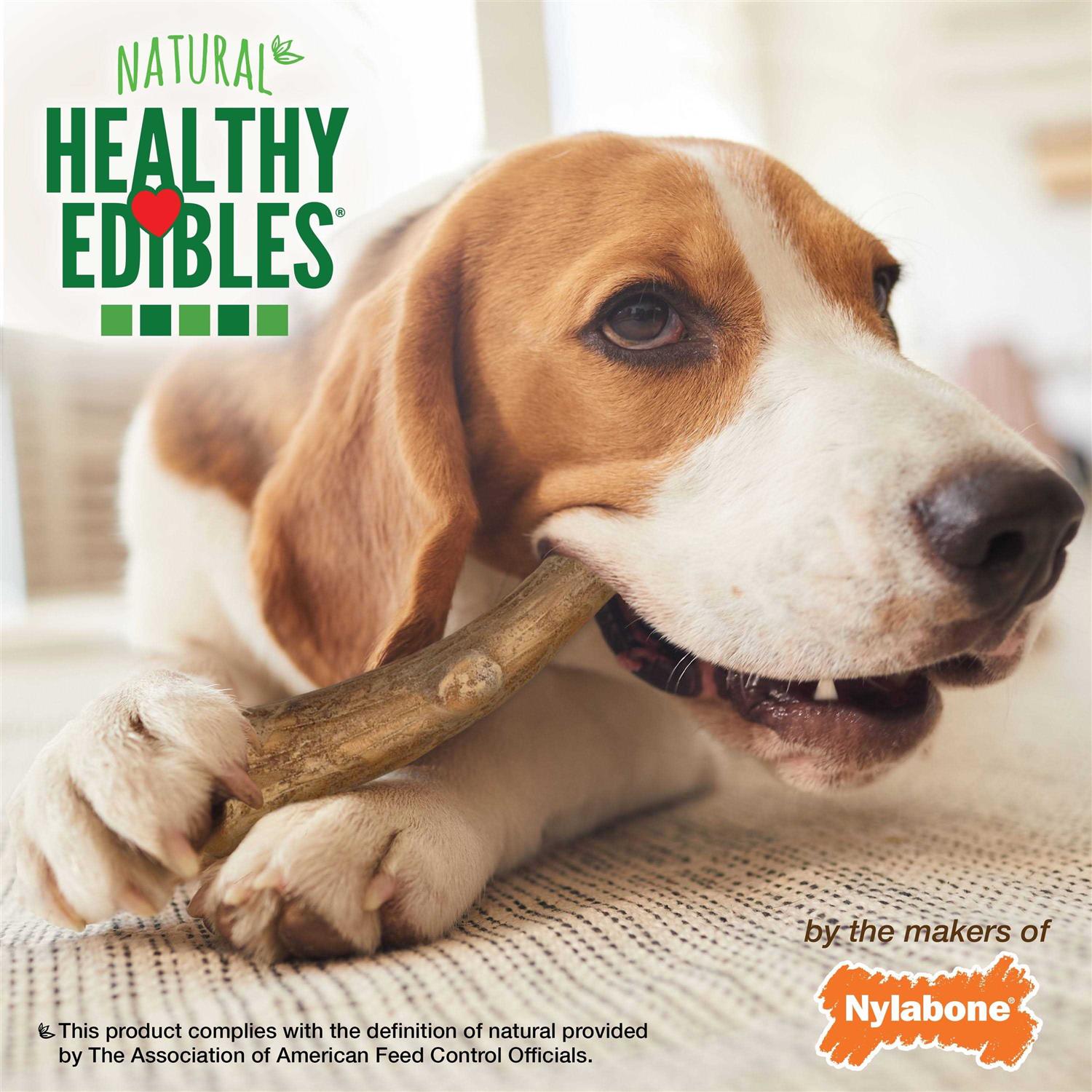 Nylabone Healthy Edibles Wild Antler Natural Long Lasting Venison Dog Chew Treats