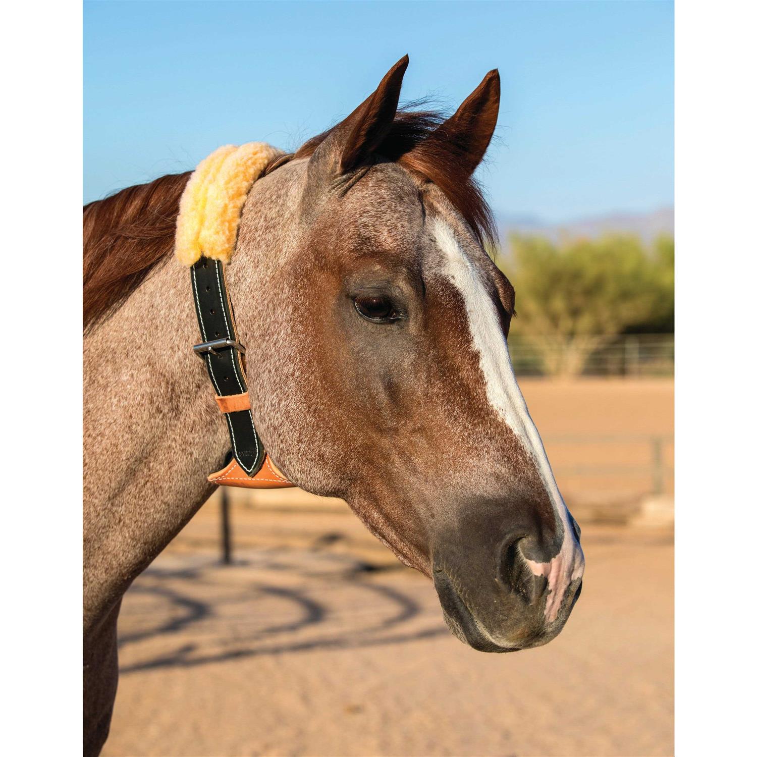 Professional’s Choice The Dare Cribbing Collar