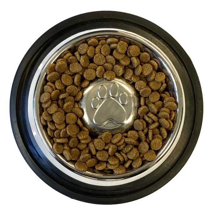 Neater Pet Brands Stainless Steel Slow Feed Bowl Non-Tip & Non-Skid