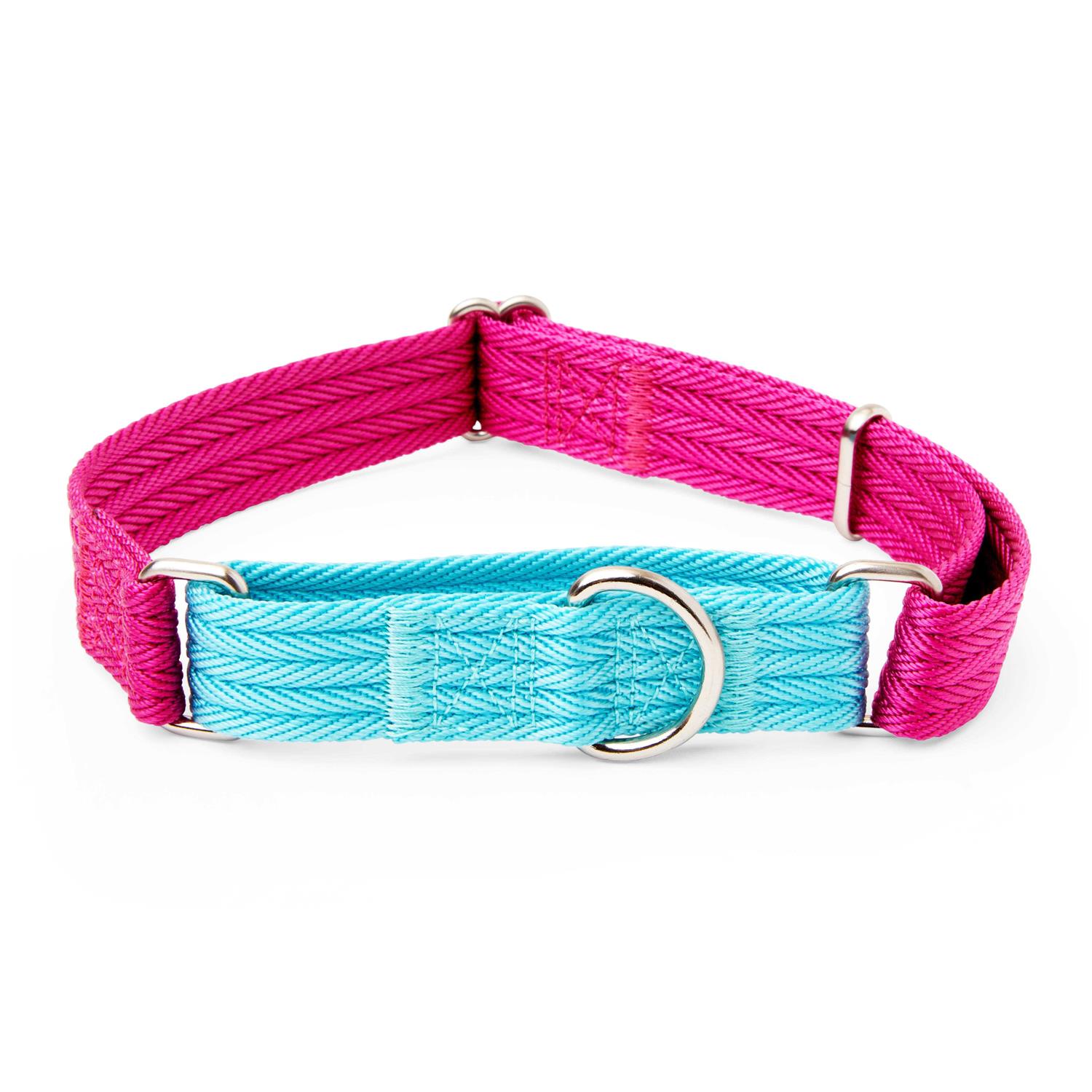 EveryYay Martingale Teal Dog Collar