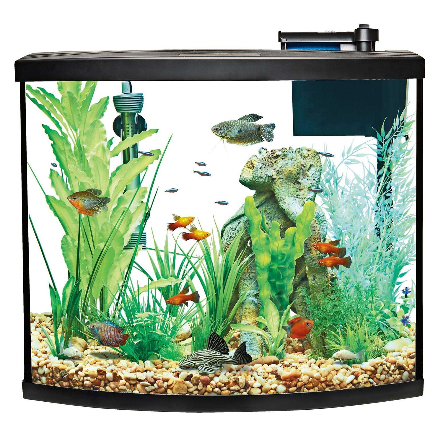 Top Fin Bow Front Aquarium Tank Starter Kit