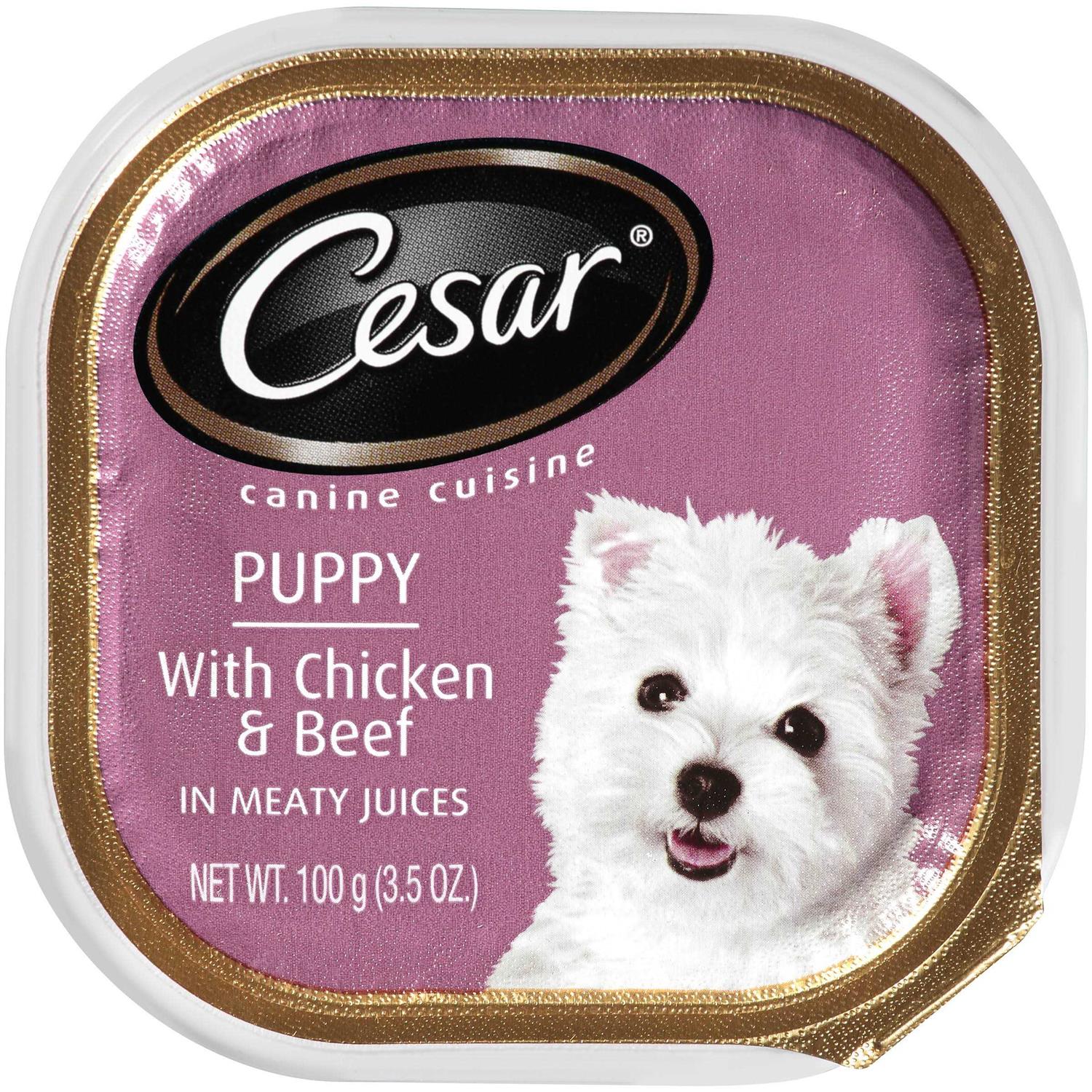Cesar Classic Loaf in Sauce Wet Dog Food Chicken & Beef Recipe Puppy