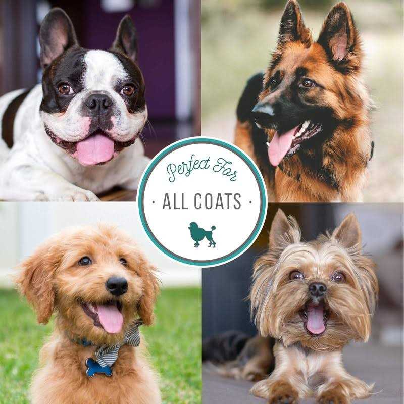 Nature’s Specialties Plum Silky Shampoo