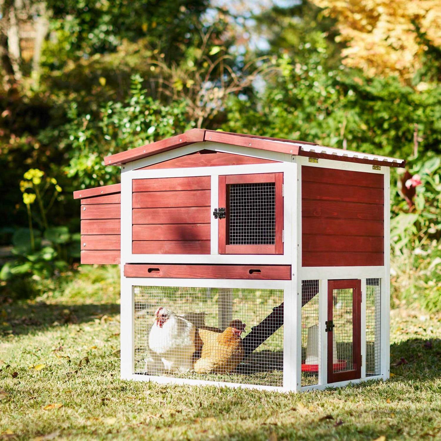 Frisco Wooden Outdoor Chicken Coop
