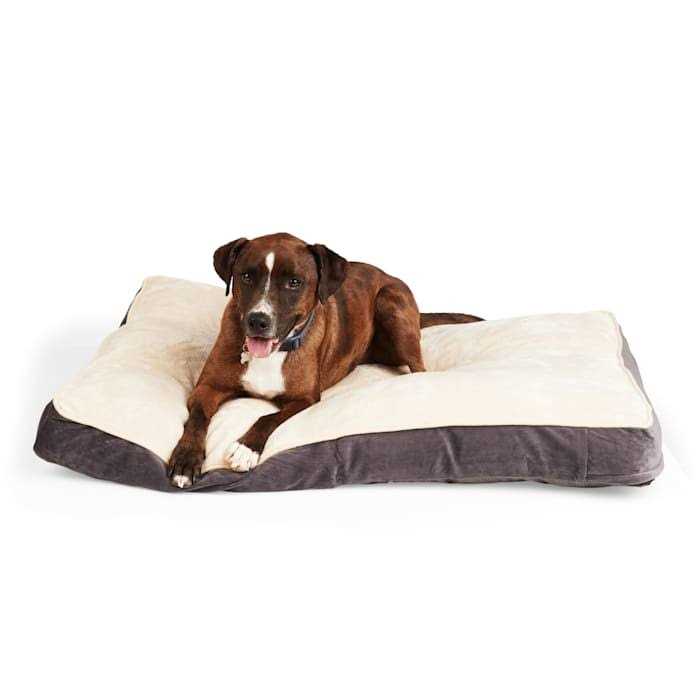 EveryYay Essentials Snooze Fest Lounger Dog Bed
